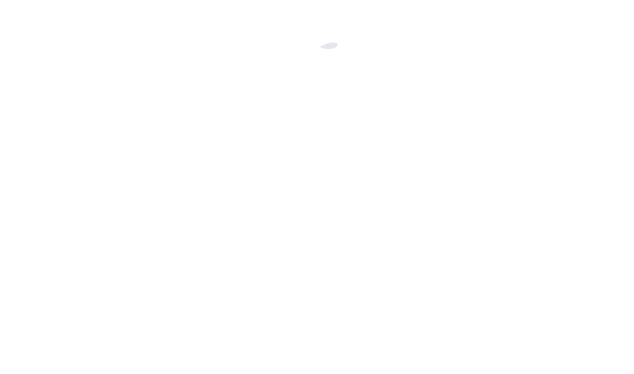 Jetskillo Logo